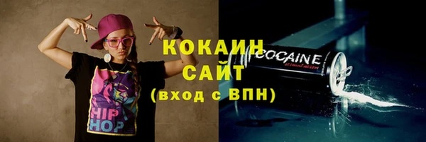 шишки Армянск
