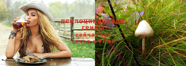 бошки Арсеньев
