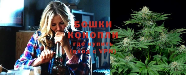 шишки Армянск